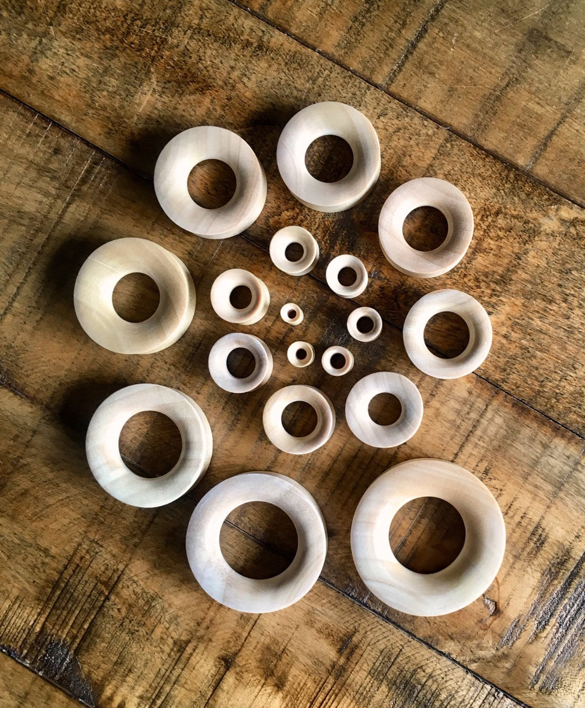 PAIR of Unique Organic Blond Crocodile Wood Tunnels - Gauges 6g (4mm) up to 2" (50mm) available!