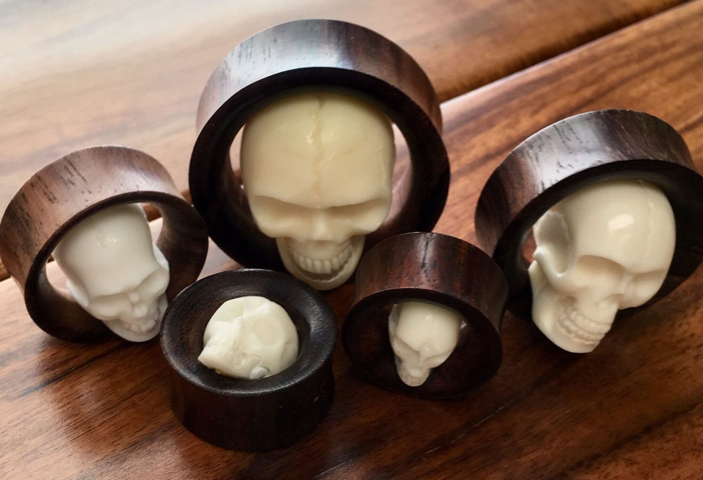 PAIR of Unique Organic Carved Bone Skull Inside a Sono Wood Double Flare Saddle Tunnels - Gauges 3/4" (19mm) thru 1&3/8" (35mm) available!