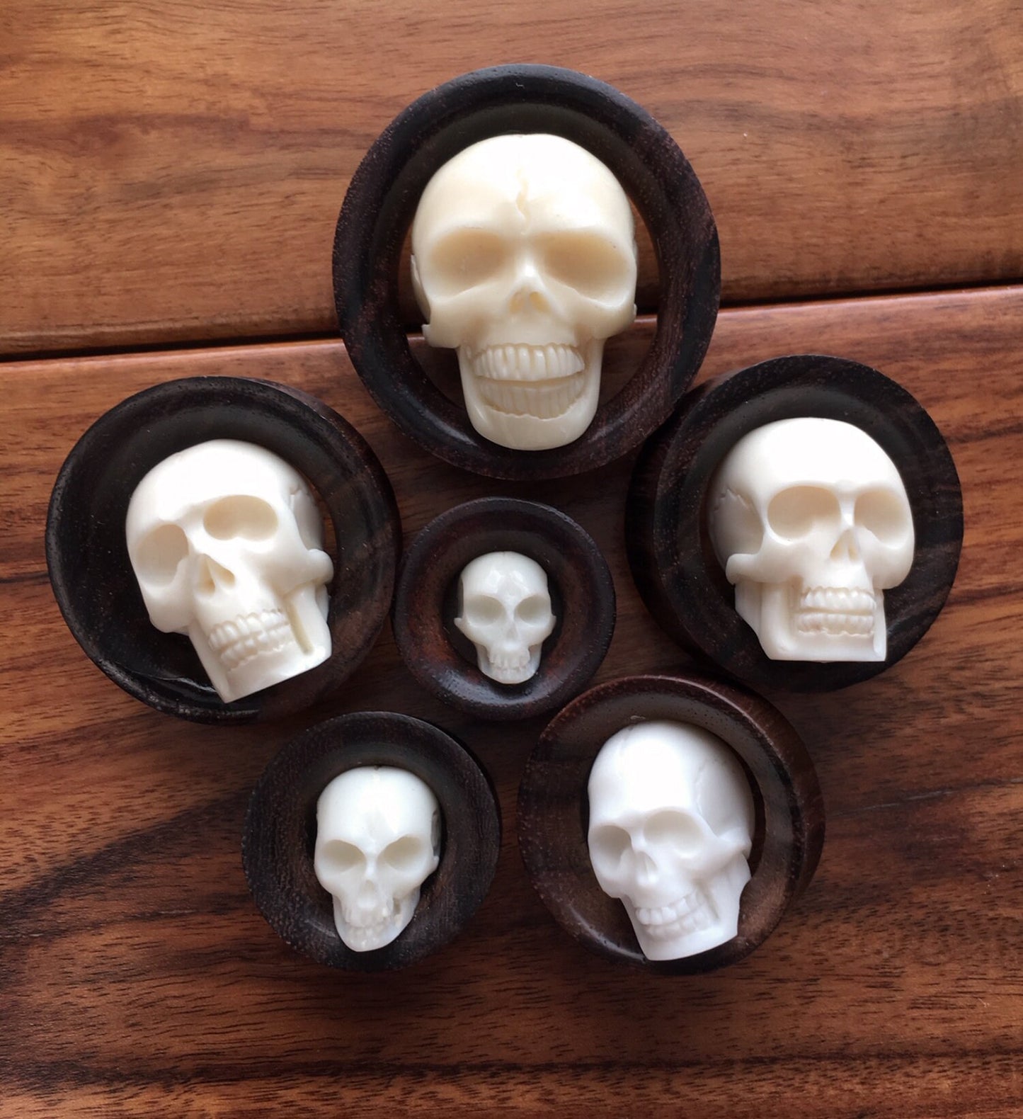 PAIR of Unique Organic Carved Bone Skull Inside a Sono Wood Double Flare Saddle Tunnels - Gauges 3/4" (19mm) thru 1&3/8" (35mm) available!