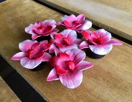 PAIR of Unique Pink Magnolia Leather Flower with Horn Plugs - Gauges 0g (8mm) up to 1&1/4" (32mm) available!