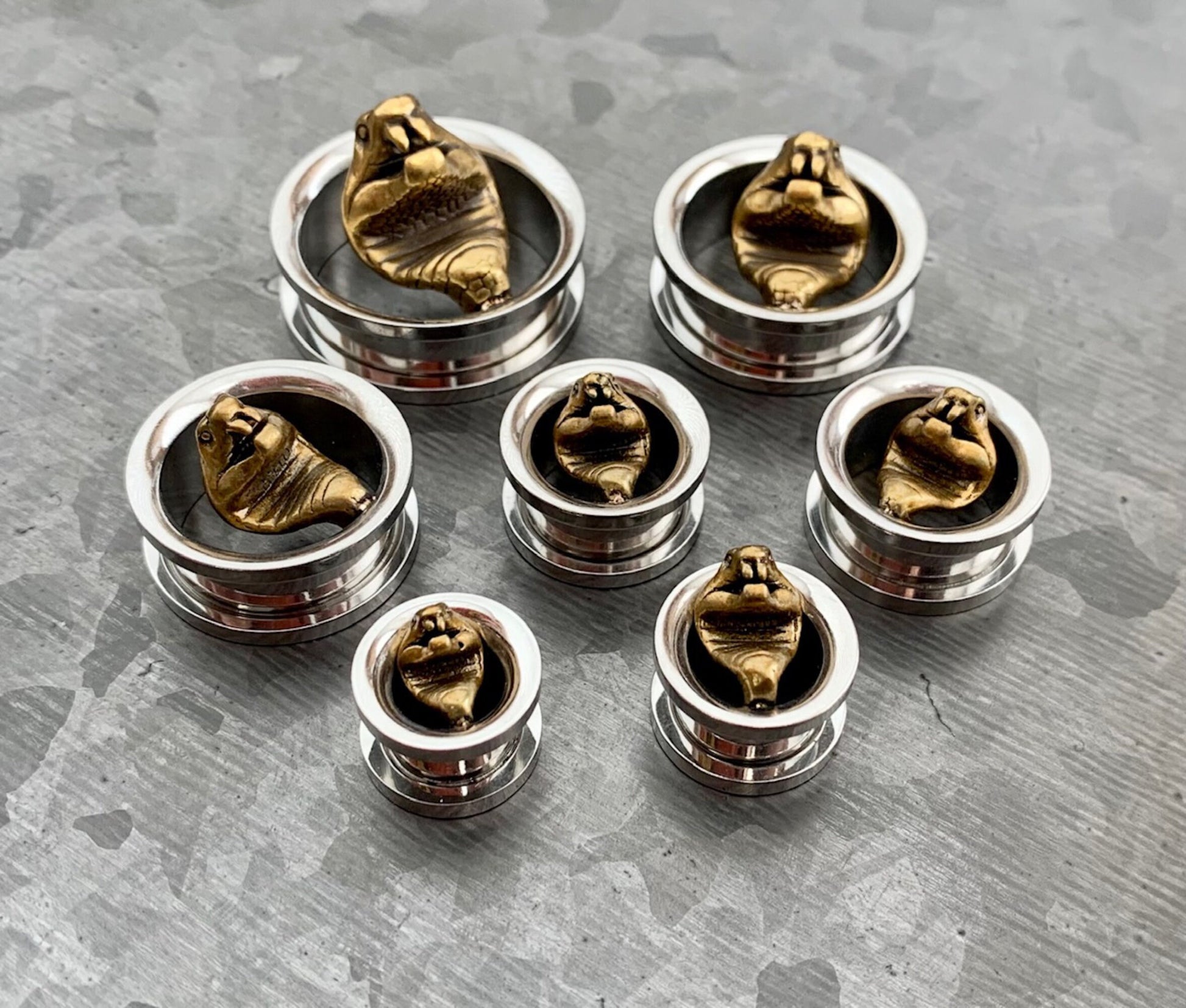PAIR of Unique Gold Cobra Surgical Steel Screw Fit Tunnels/Plugs - Gauges 00g (10mm) up to 1" (25mm) available!