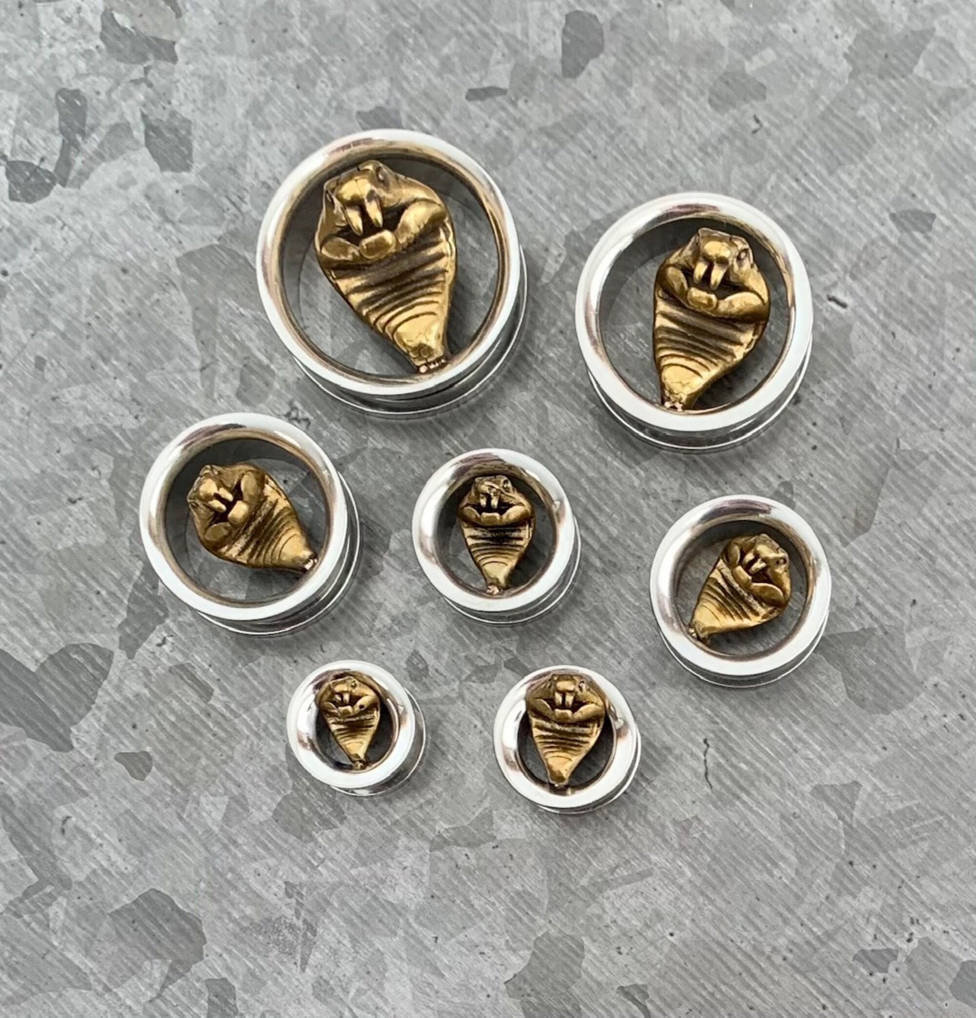 PAIR of Unique Gold Cobra Surgical Steel Screw Fit Tunnels/Plugs - Gauges 00g (10mm) up to 1" (25mm) available!