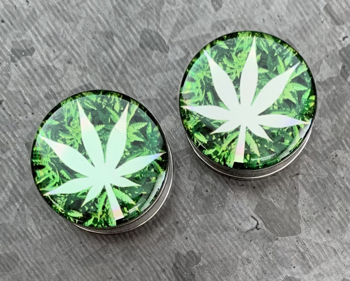 PAIR of Unique Hologram Pot Leaf Screw Fit Surgical Steel Tunnels/Plugs - Gauges 2g (6mm) thru 1" (25mm) available!