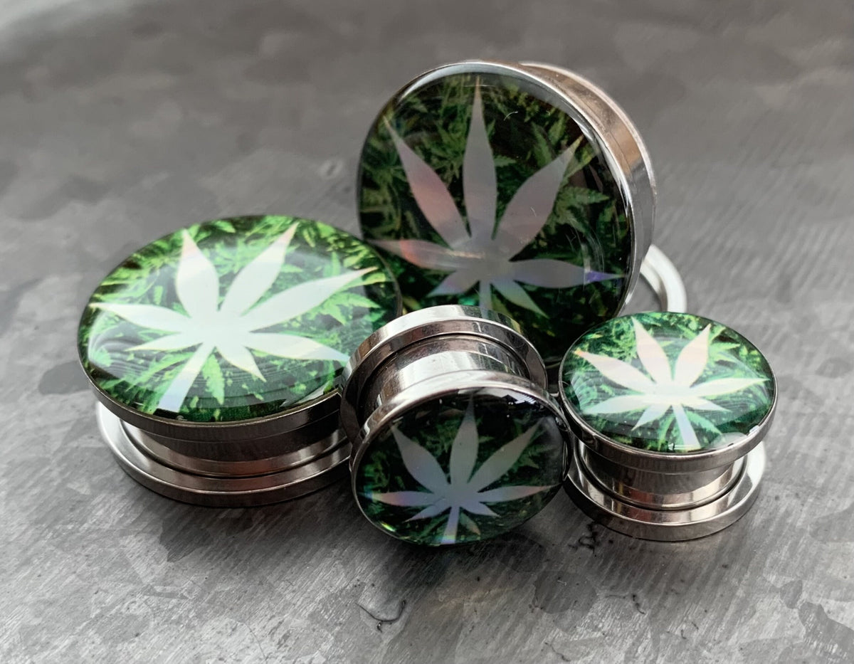 PAIR of Unique Hologram Pot Leaf Screw Fit Surgical Steel Tunnels/Plugs - Gauges 2g (6mm) thru 1" (25mm) available!