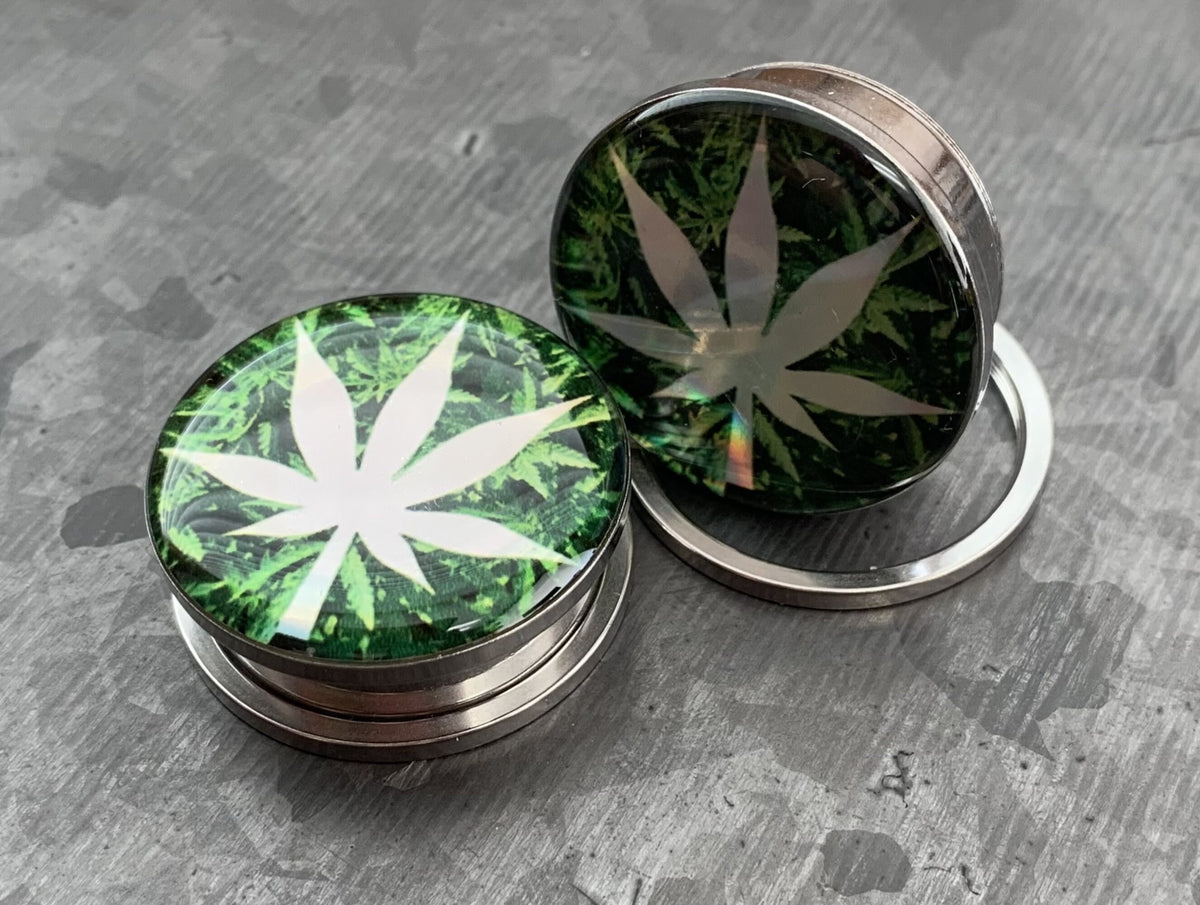 PAIR of Unique Hologram Pot Leaf Screw Fit Surgical Steel Tunnels/Plugs - Gauges 2g (6mm) thru 1" (25mm) available!