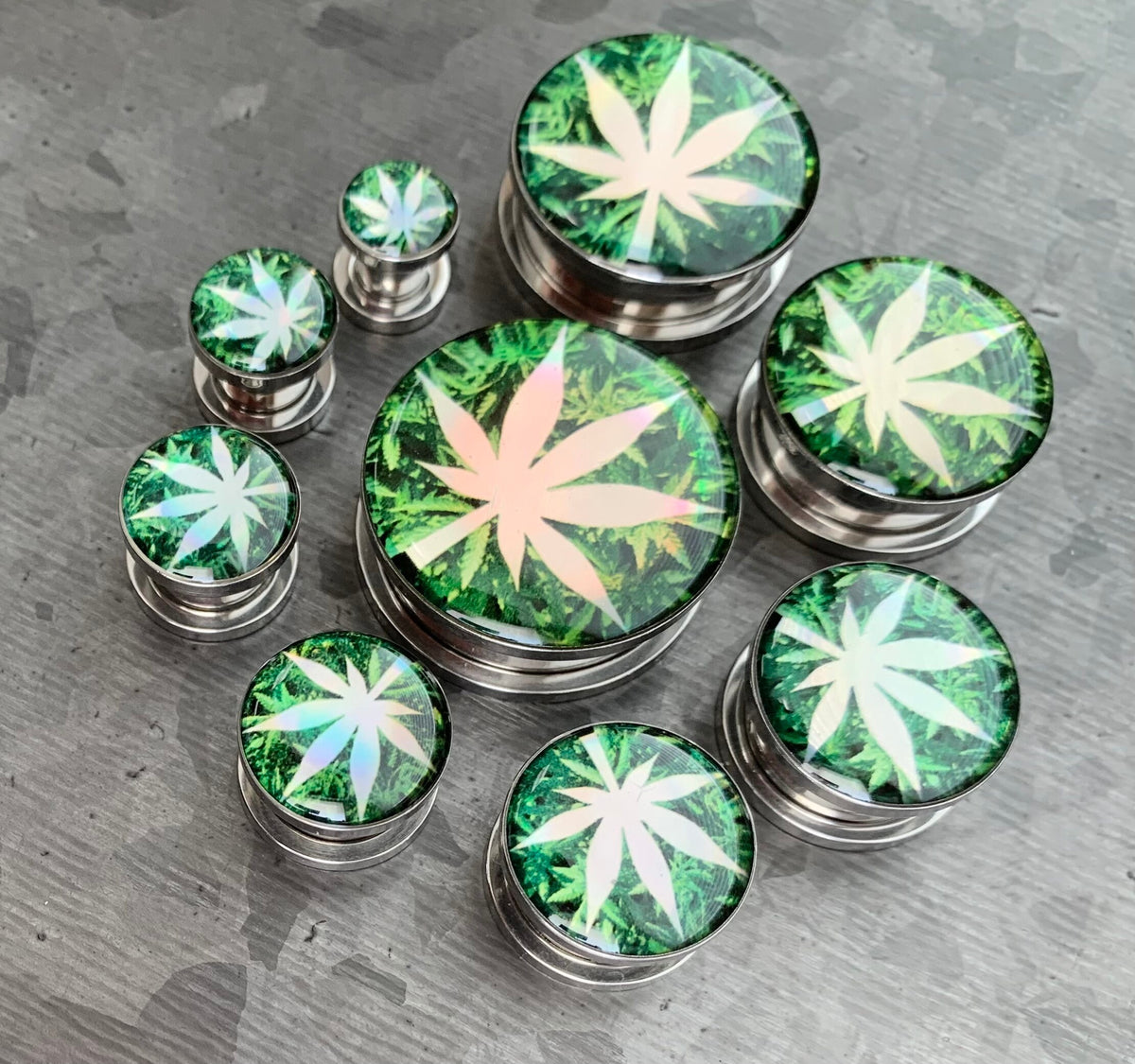 PAIR of Unique Hologram Pot Leaf Screw Fit Surgical Steel Tunnels/Plugs - Gauges 2g (6mm) thru 1" (25mm) available!