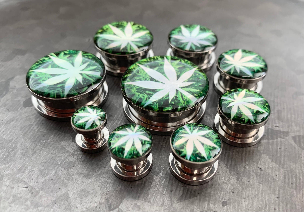 PAIR of Unique Hologram Pot Leaf Screw Fit Surgical Steel Tunnels/Plugs - Gauges 2g (6mm) thru 1" (25mm) available!