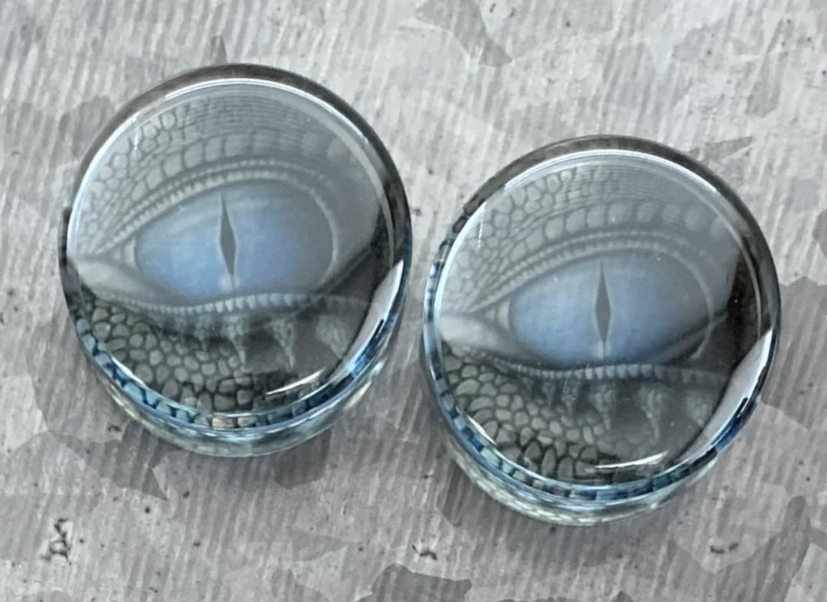 PAIR of Stunning Blue Dragon Eye Encased Acrylic White Walker Saddle Plugs - Gauges 0g (8mm) thru 1" (25mm) available!