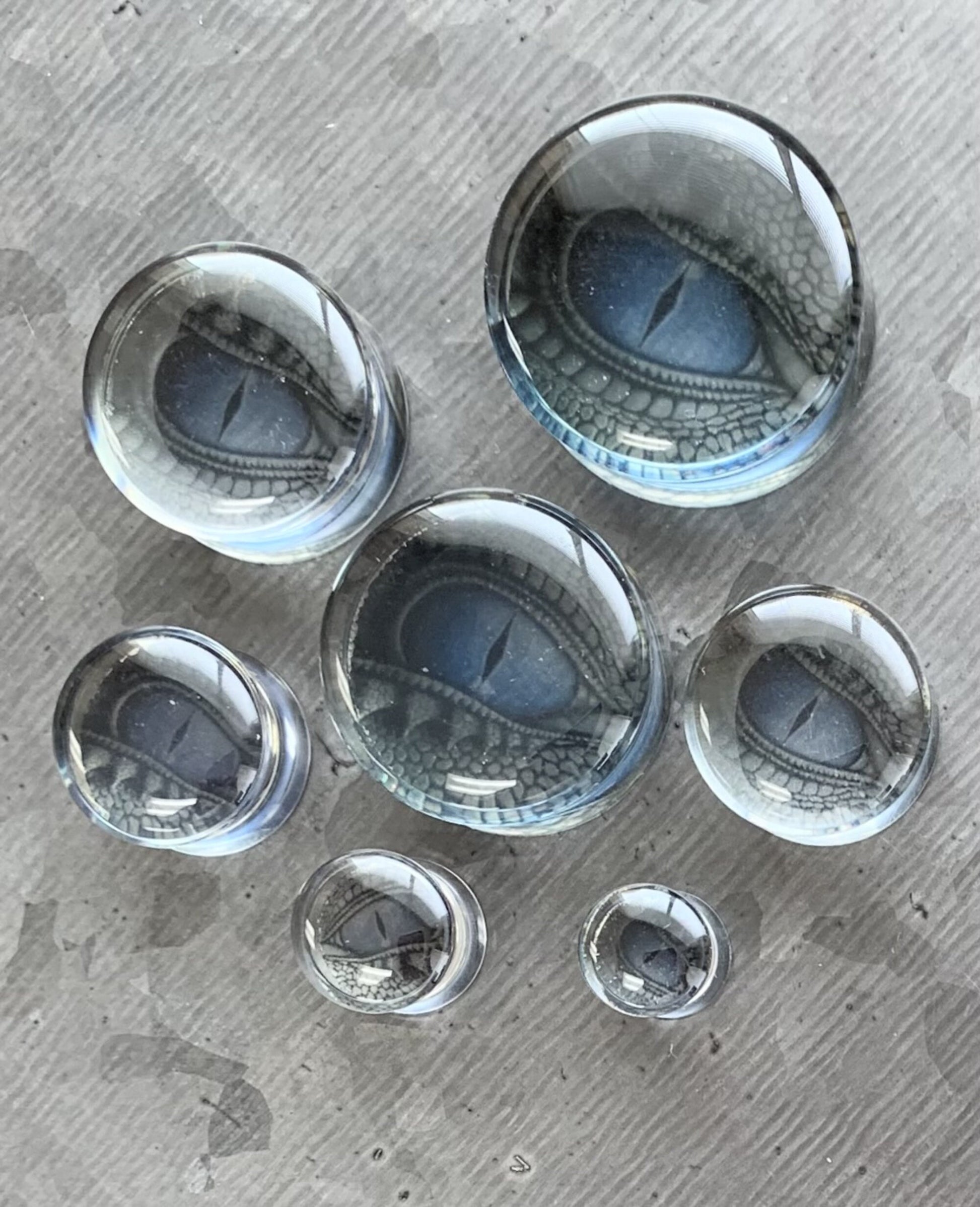 PAIR of Stunning Blue Dragon Eye Encased Acrylic White Walker Saddle Plugs - Gauges 0g (8mm) thru 1" (25mm) available!