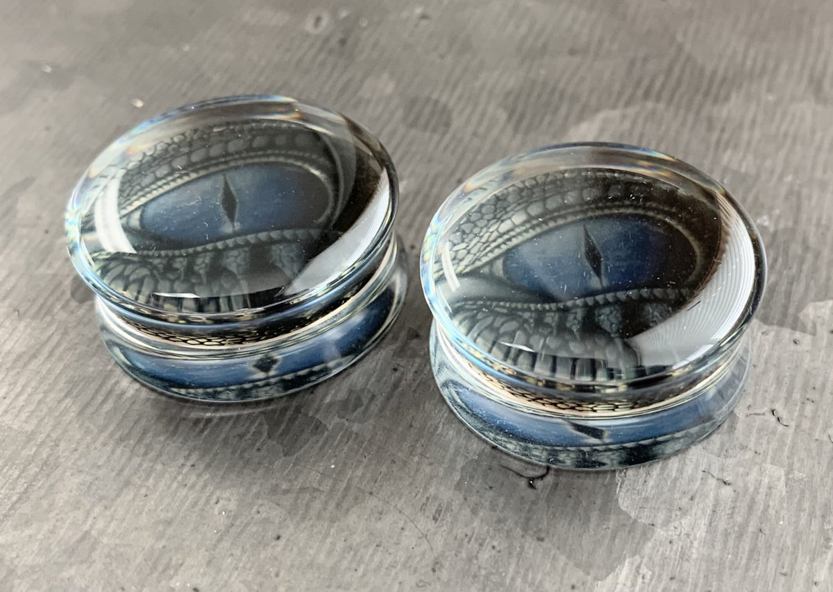 PAIR of Stunning Blue Dragon Eye Encased Acrylic White Walker Saddle Plugs - Gauges 0g (8mm) thru 1" (25mm) available!
