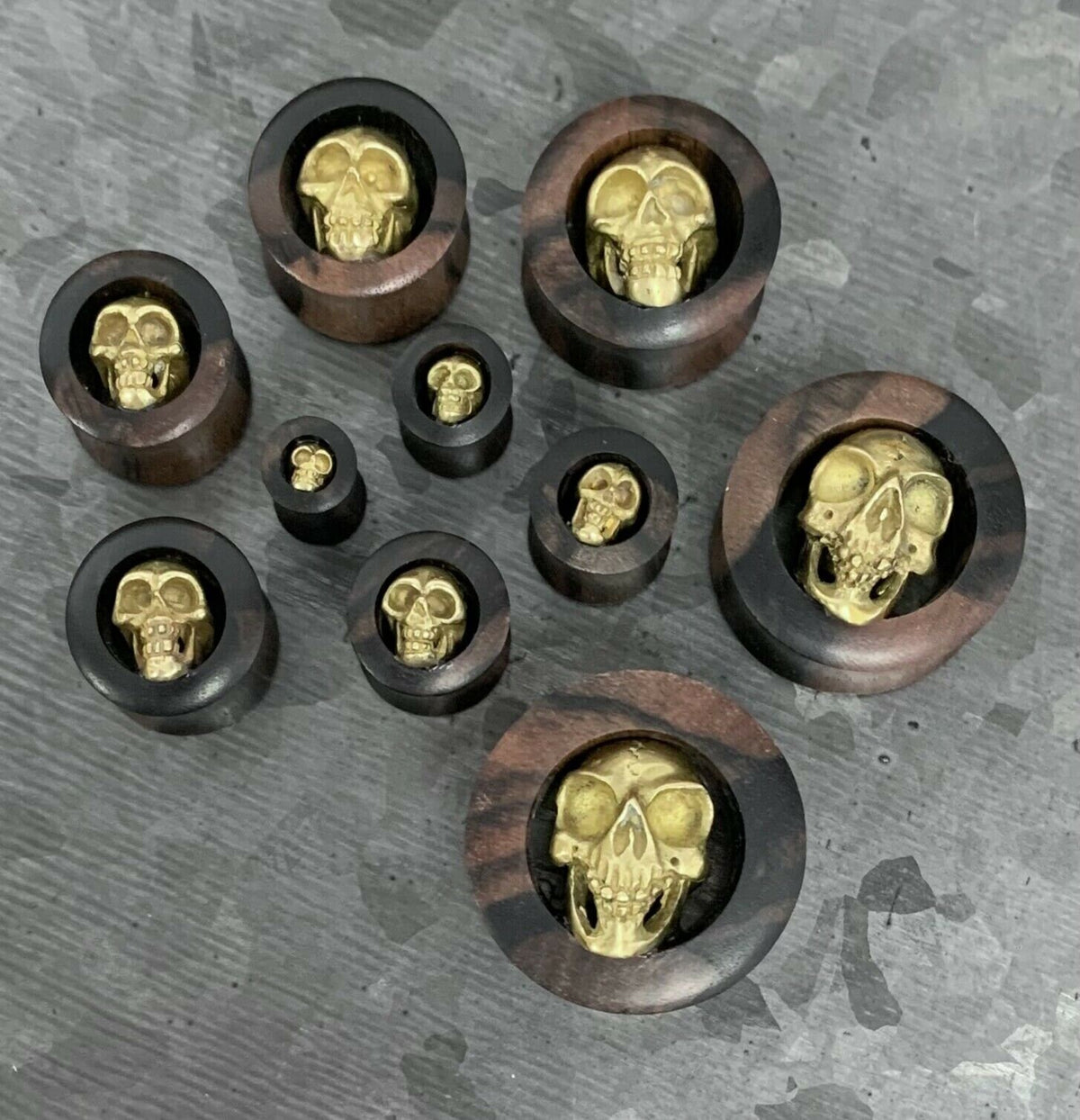 PAIR of Unique Brass Skull Organic Ebony Double Flare Wood Tunnels/Plugs - Gauges 2g (6mm) up to 1" (25mm) available!