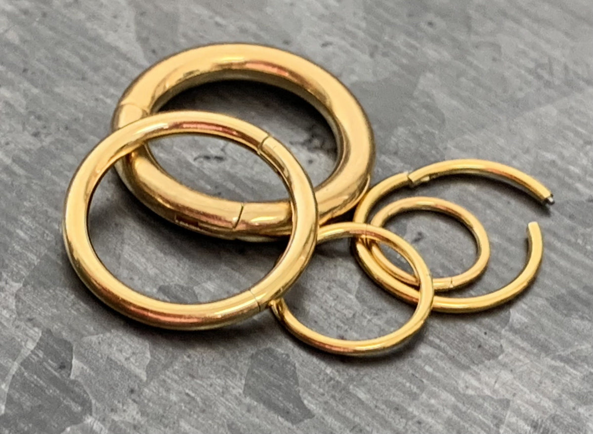1 Piece of Stunning Gold Hinged Segment Septum Ring/Hoop - Gauges 10g, 12g, 14g, 16g, 18g & 20g available!
