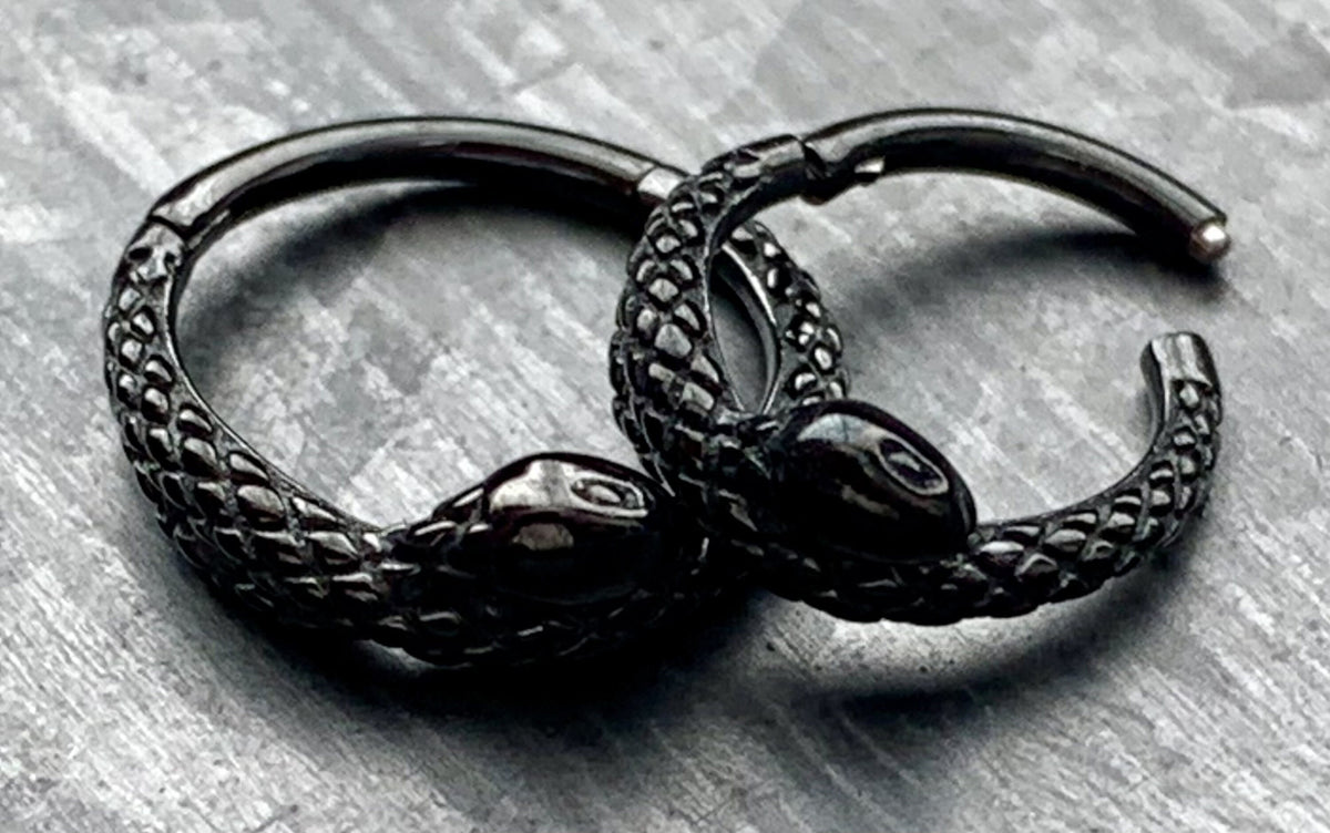 1 Piece Unique Coiled Snake Steel Hinged Segment Ring - 16g - 8mm or 10mm internal diameter - Black, Silver and Gold available!