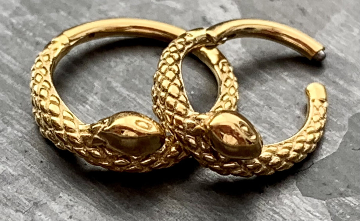 1 Piece Unique Coiled Snake Steel Hinged Segment Ring - 16g - 8mm or 10mm internal diameter - Black, Silver and Gold available!
