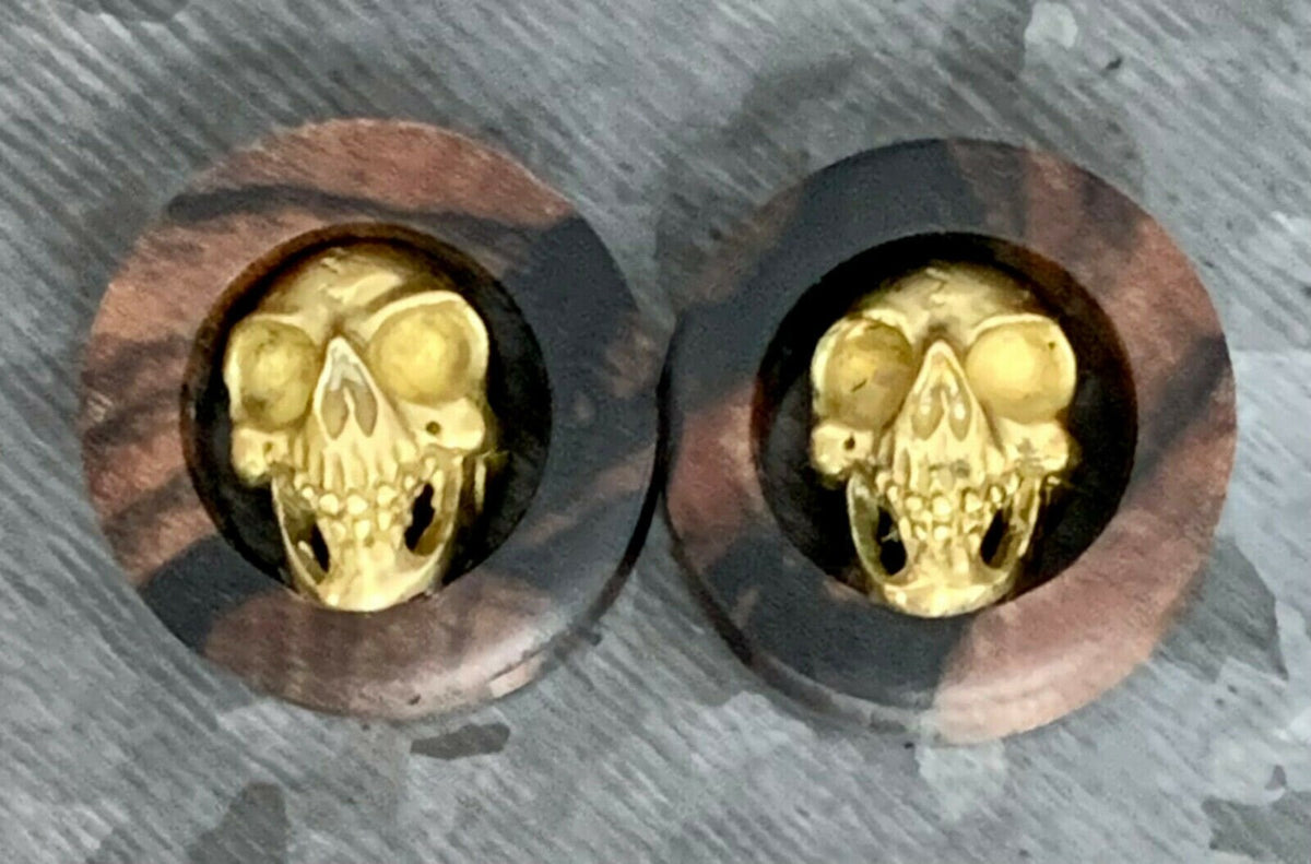 PAIR of Unique Brass Skull Organic Ebony Double Flare Wood Tunnels/Plugs - Gauges 2g (6mm) up to 1" (25mm) available!