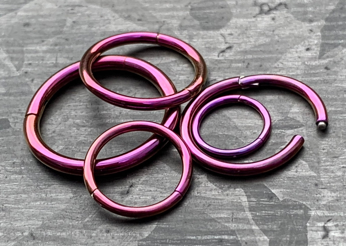 1 Piece of Unique Purple Hinged Segment Septum Ring/Hoop - Gauges 14g, 16g, 18g & 20g available!