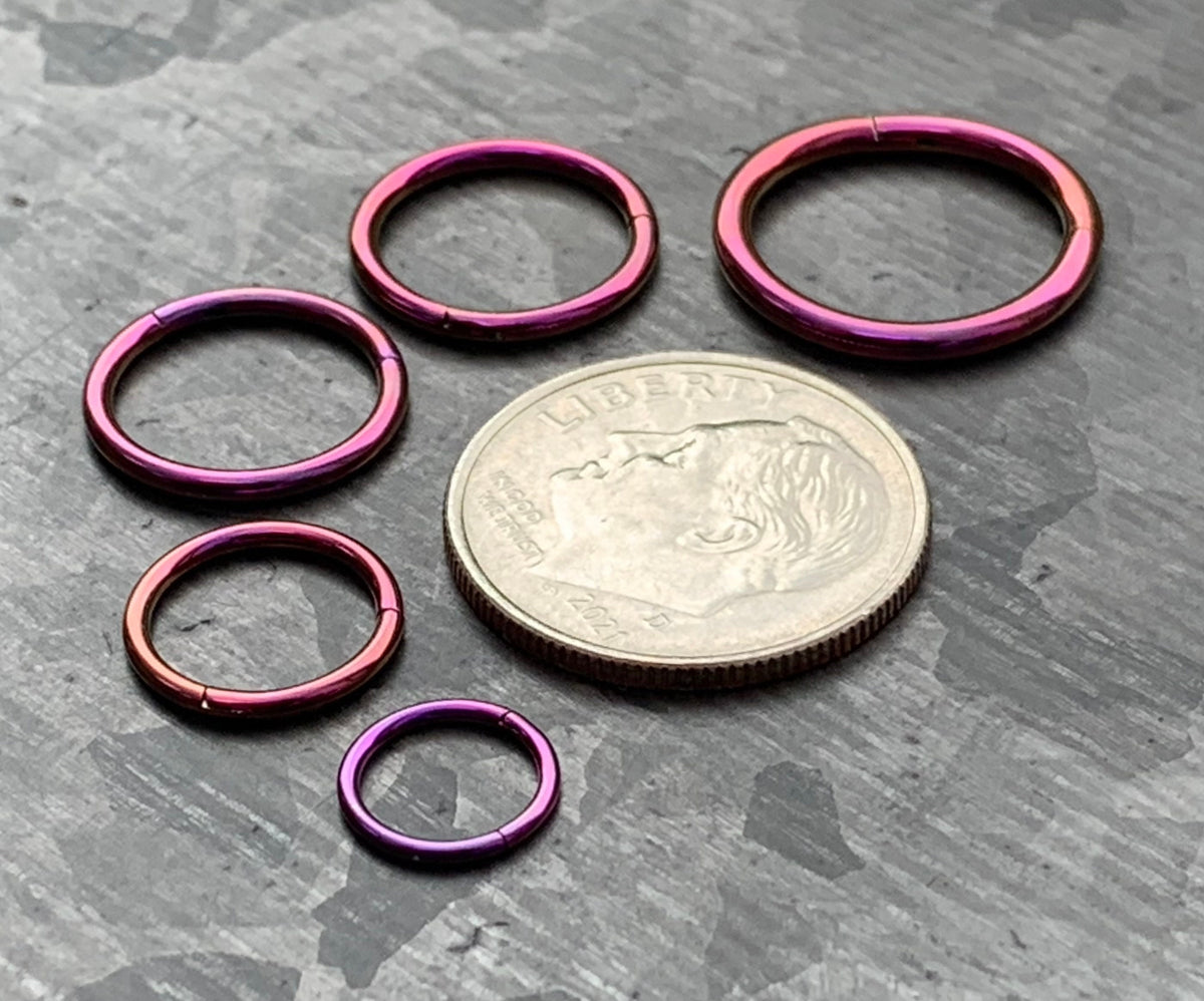 1 Piece of Unique Purple Hinged Segment Septum Ring/Hoop - Gauges 14g, 16g, 18g & 20g available!