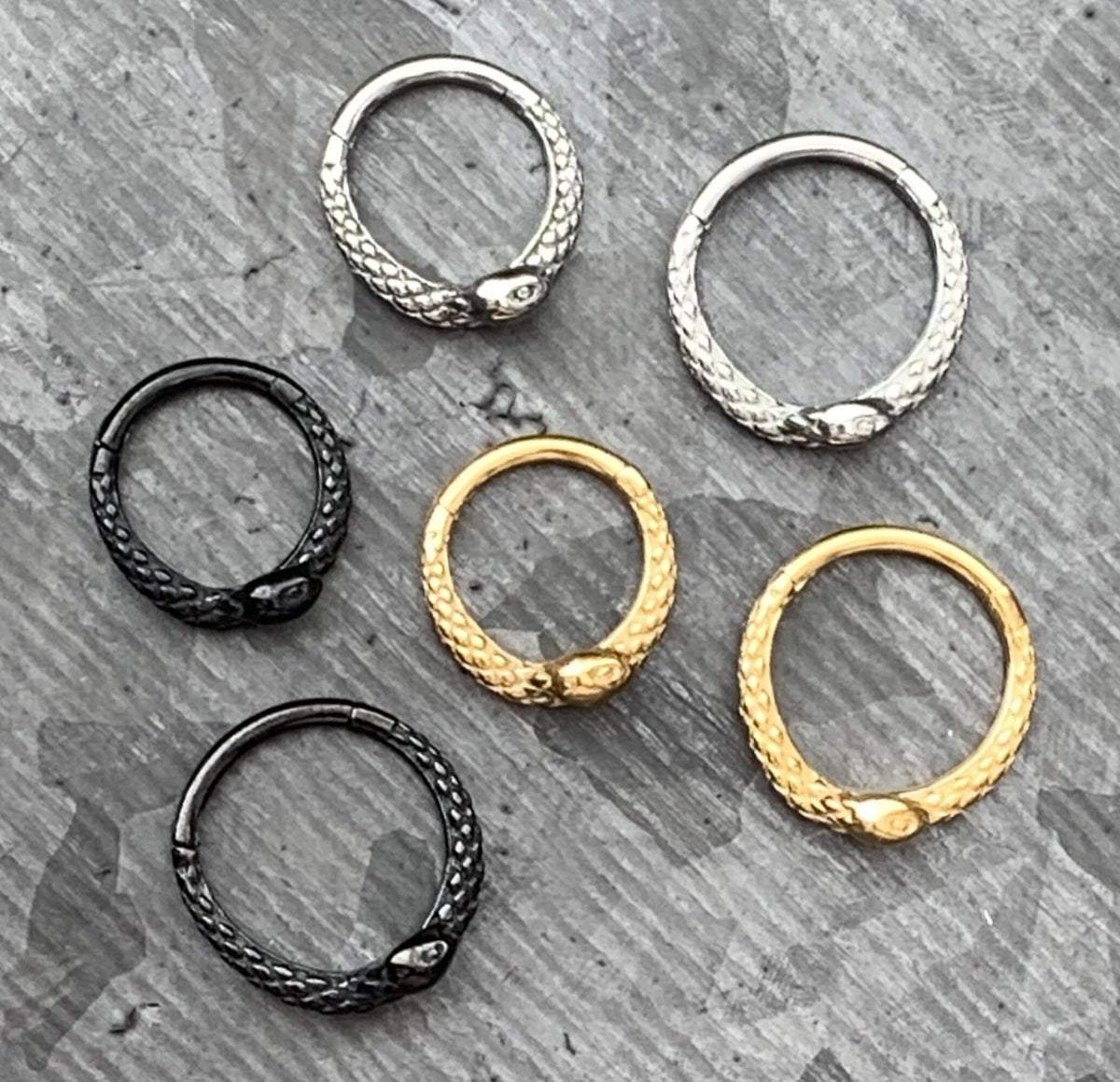 1 Piece Unique Coiled Snake Steel Hinged Segment Ring - 16g - 8mm or 10mm internal diameter - Black, Silver and Gold available!