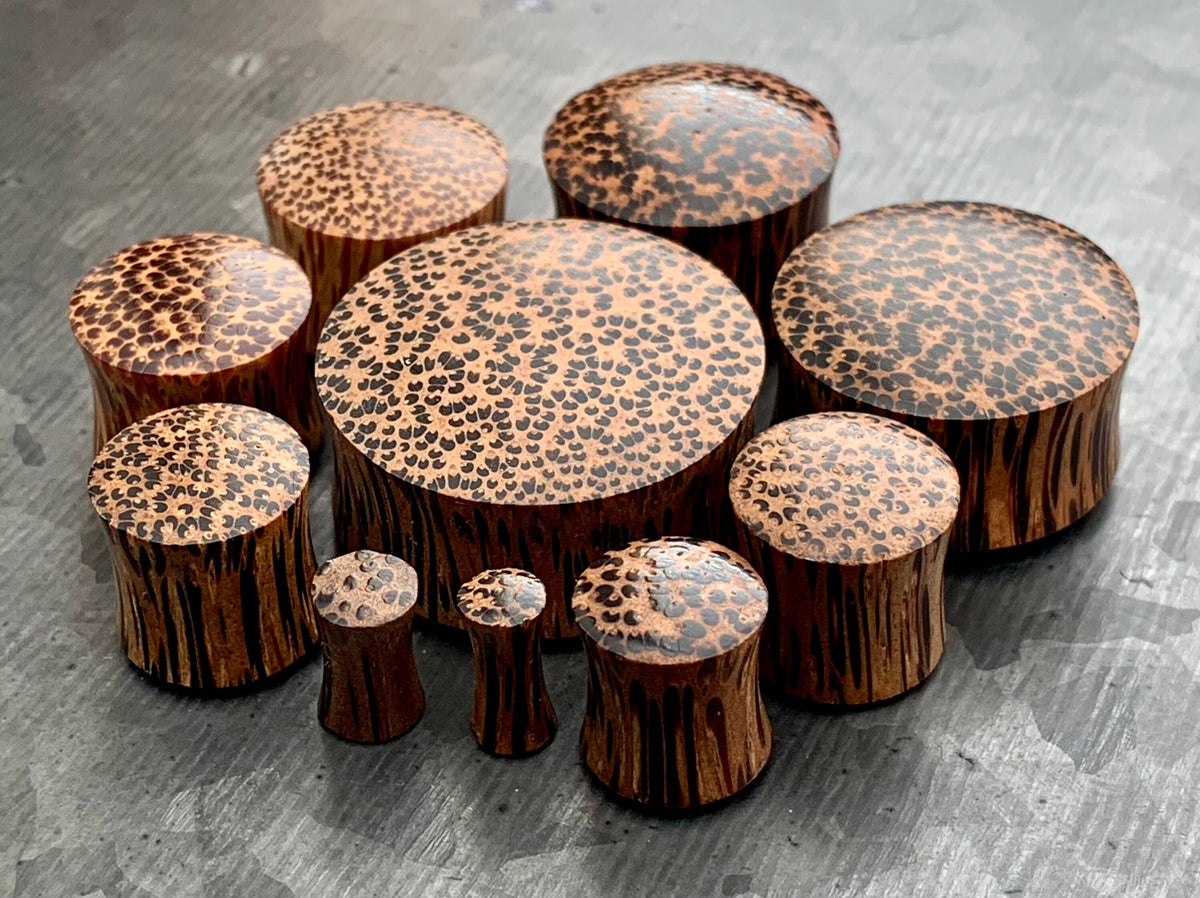 PAIR of Stunning Organic Convex Coconut Wood Plugs - Gauges 8g (3mm) thru 1" (25mm) available!
