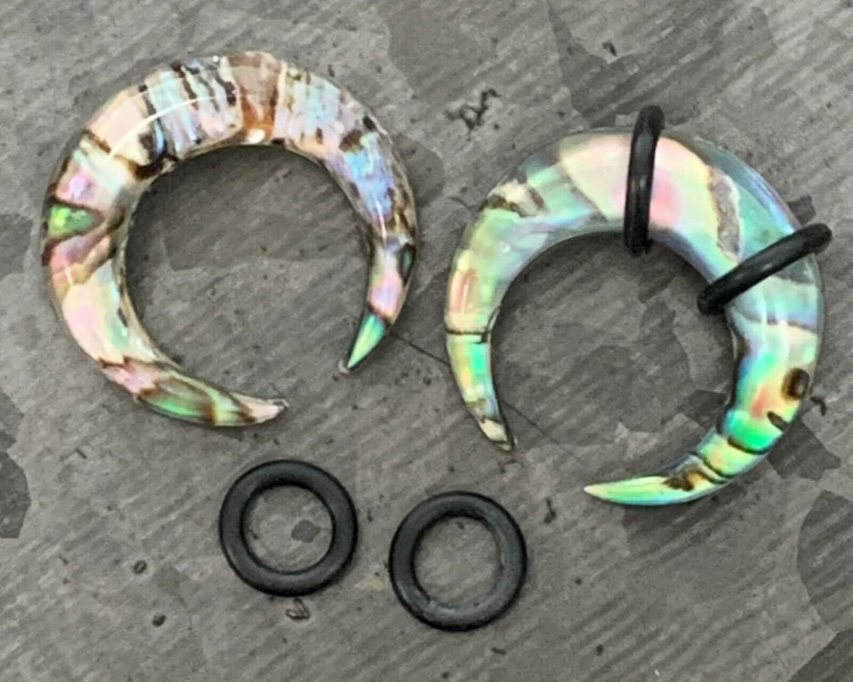 PAIR of Unique Organic Abalone Resin Buffalo Tapers Plugs - Gauges 6g (4mm) thru 0g (8mm) available!