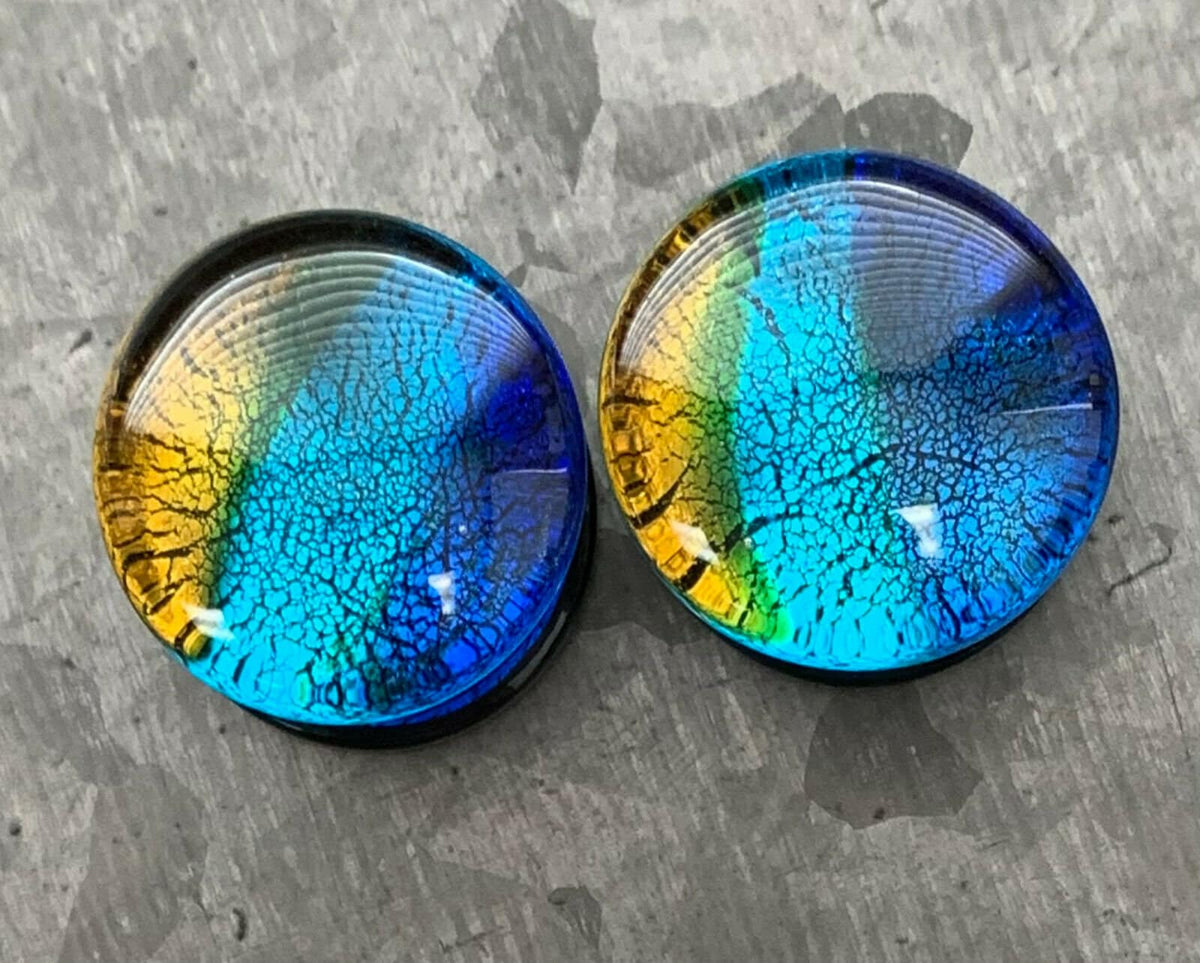 PAIR of Stunning Oceanic Design Glass Double Flare Plugs - Gauges 2g (6mm) up to 3/4" (19mm) available!