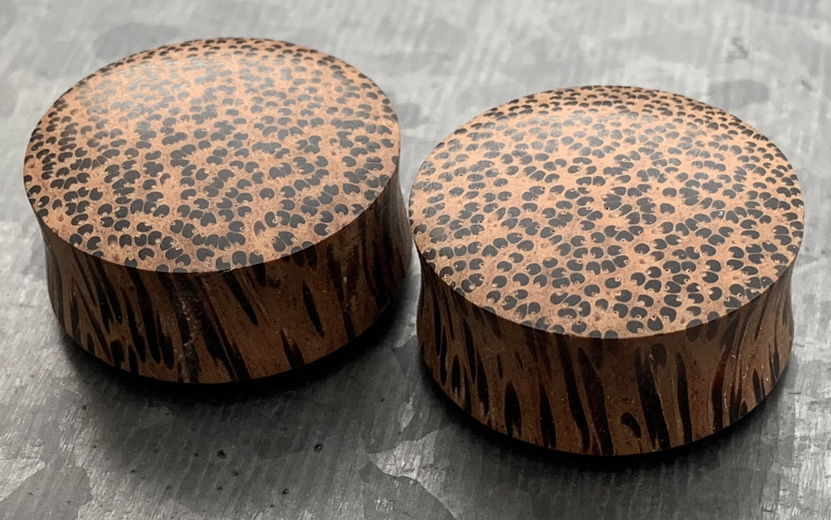PAIR of Stunning Organic Convex Coconut Wood Plugs - Gauges 8g (3mm) thru 1" (25mm) available!