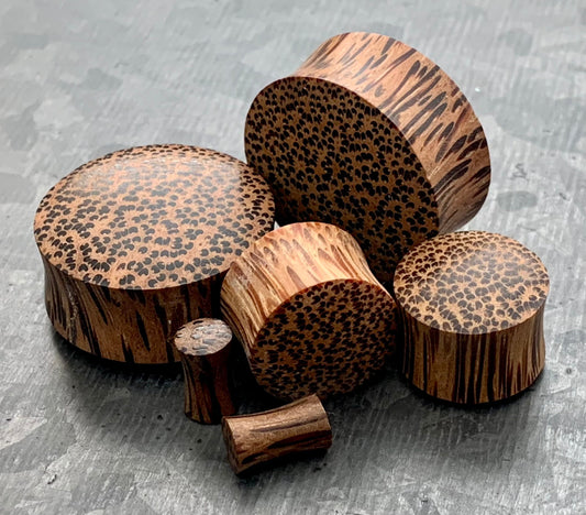 PAIR of Stunning Organic Convex Coconut Wood Plugs - Gauges 8g (3mm) thru 1" (25mm) available!