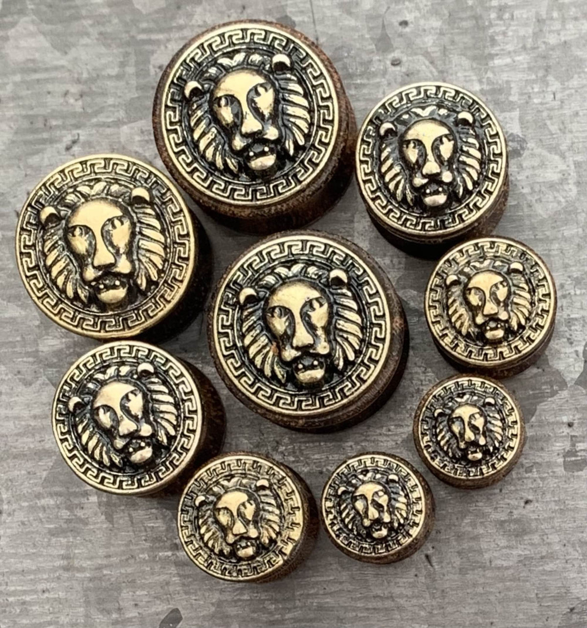 PAIR Stunning Antique Gold Lion with Maze Pattern Rim Sono Wood Saddle Plugs - Gauges 0g (8mm) thru 5/8" (16mm) Available!