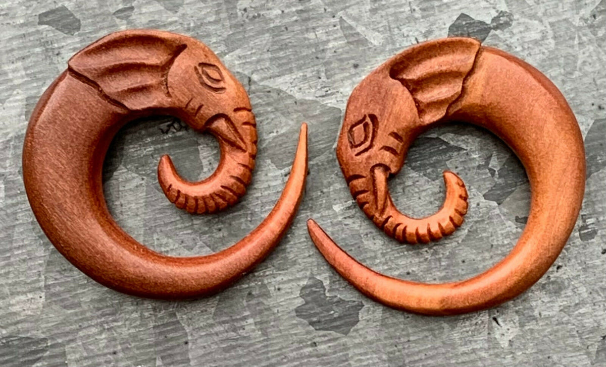 PAIR of Stunning Hand Carved Organic Sawo Wood Elephant Tapers/Plugs - Expanders - Gauges 2g (6mm) thru 00g (10mm) available!