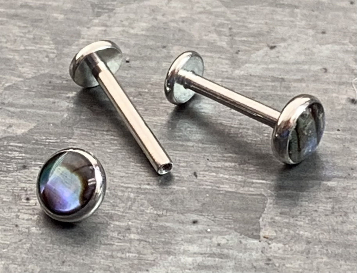 1 Piece Abalone Shell Steel Labret Internally Threaded Stud - 16g - Post Length 8mm or 10mm Available!
