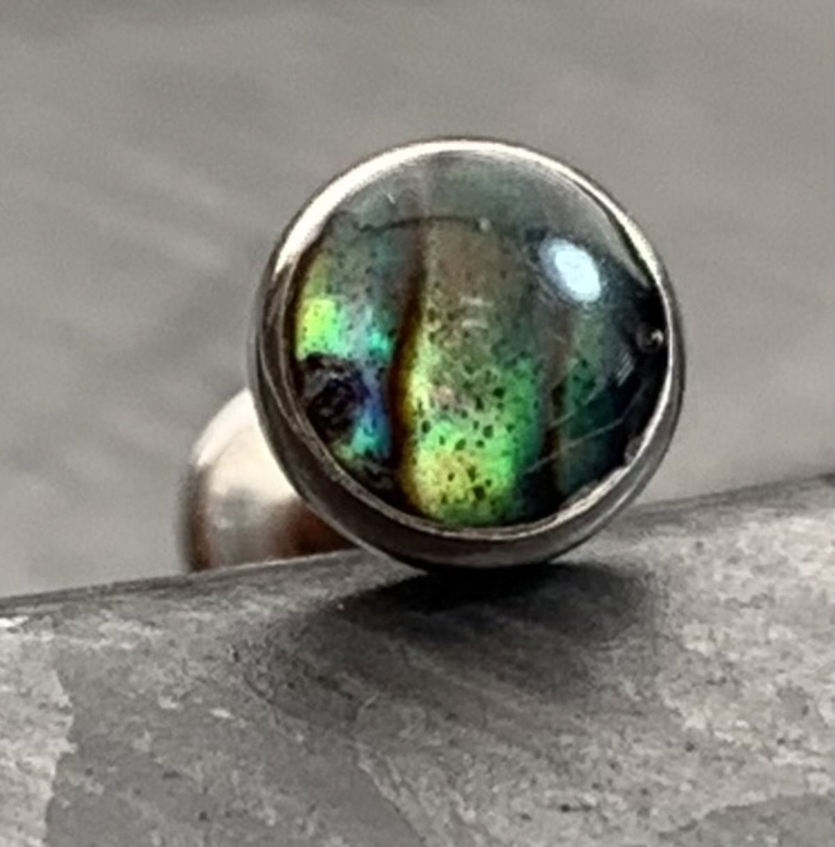 1 Piece Abalone Shell Steel Labret Internally Threaded Stud - 16g - Post Length 8mm or 10mm Available!