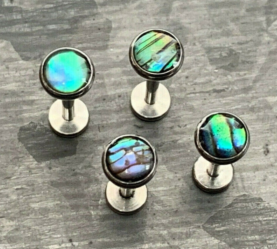 1 Piece Abalone Shell Steel Labret Internally Threaded Stud - 16g - Post Length 8mm or 10mm Available!