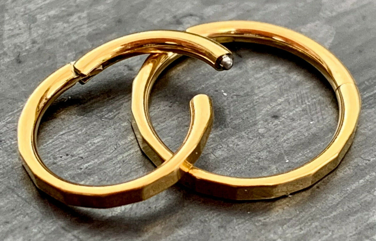 1 Piece Implant Grade Titanium Faceted Hinged Segment Septum Ring - Gauge 16g - 8mm or 10mm - White, Black, Gold & Rose Gold available!