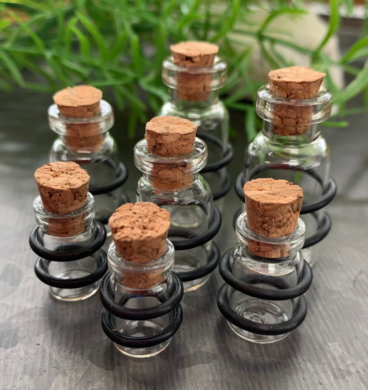 PAIR of Unique Clear Glass Corked Bottle Tunnels/Plugs with O-Rings - Gauges 00g (10mm) thru 5/8" (16mm) available!