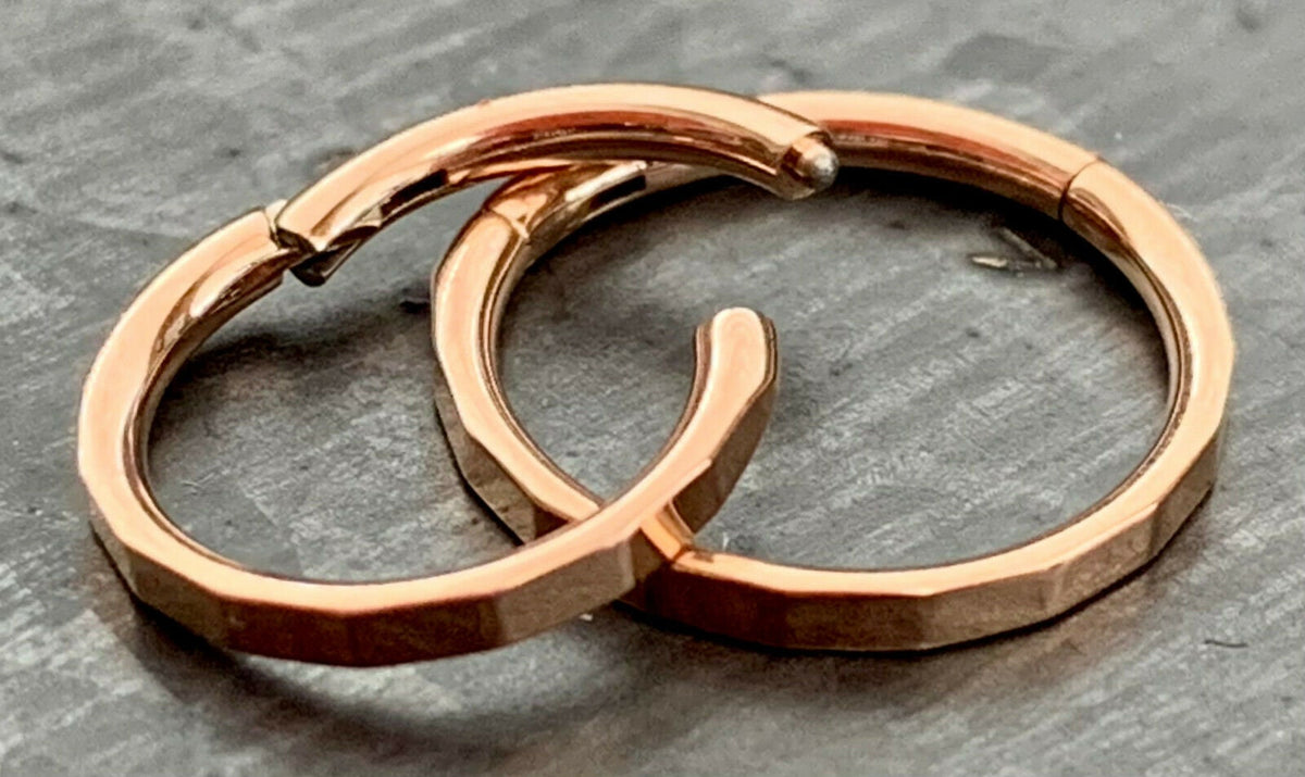 1 Piece Implant Grade Titanium Faceted Hinged Segment Septum Ring - Gauge 16g - 8mm or 10mm - White, Black, Gold & Rose Gold available!