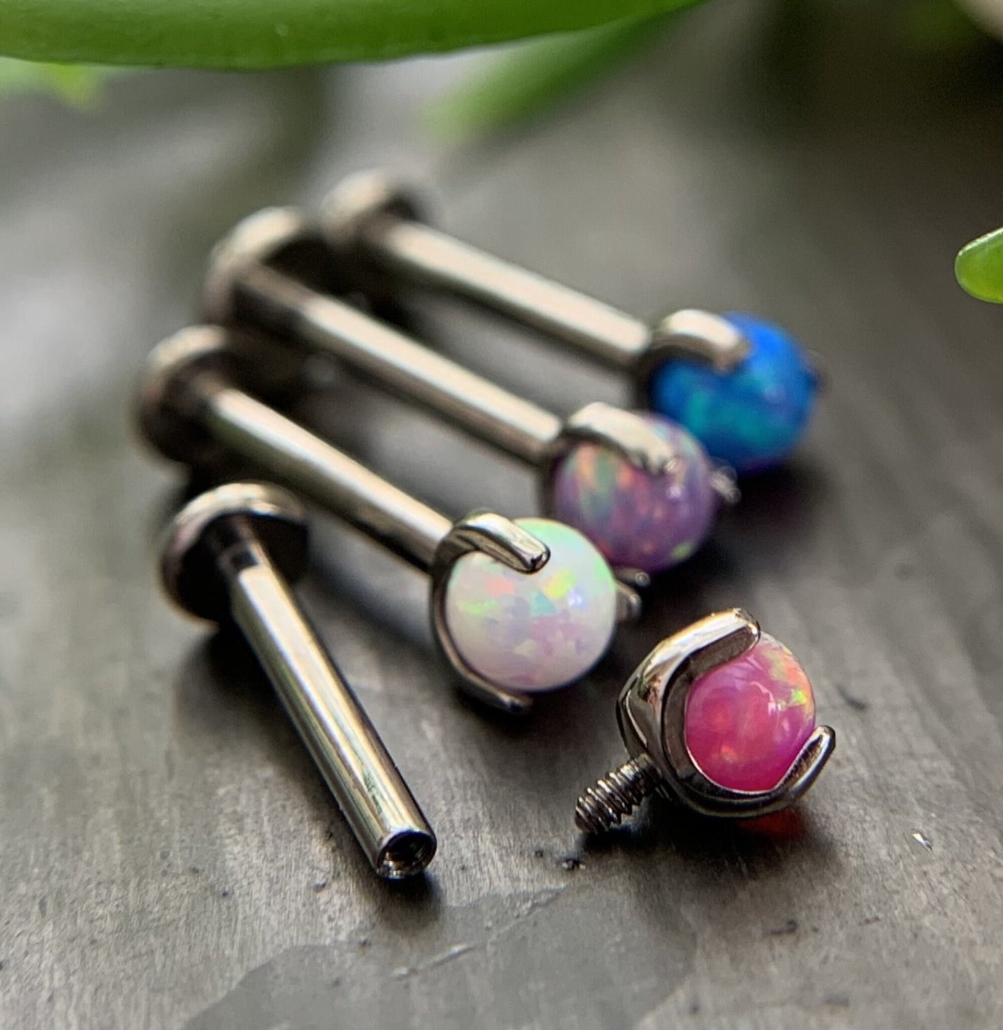 1 Piece Claw 3 Prong Opal Ball Titanium Labret-Monroe-Stud-Lip Ring-Helix Ear Cartilage - 16g - 5/8" (8mm) - Can be used for many piercings!