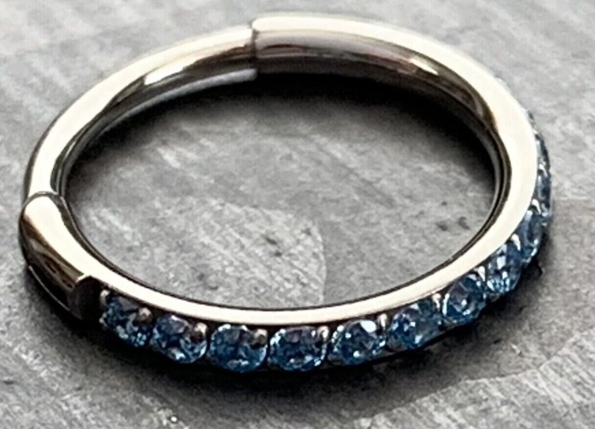 1 Piece Titanium Paved Outer CZ Gems Hinged Segment Ring - 16g - Aqua, Black, Clear, Gold, Pink, Red, Rose Gold Available!