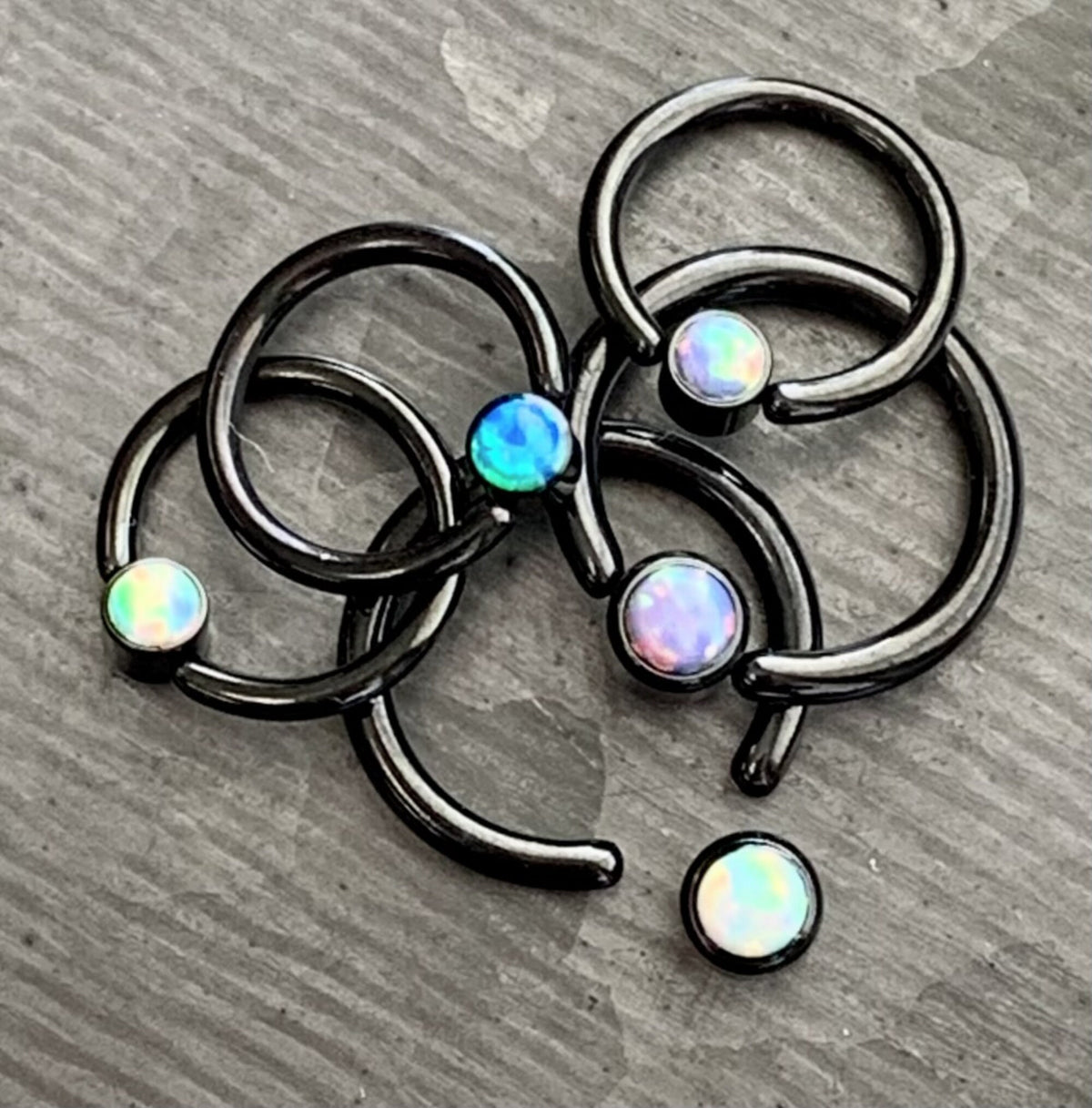 1 Piece Stunning Black Opal Set Flat-Back Black Plated Segment Septum Ring - 16g or 14g - 8mm or 10mm - White, Purple, Blue Available!