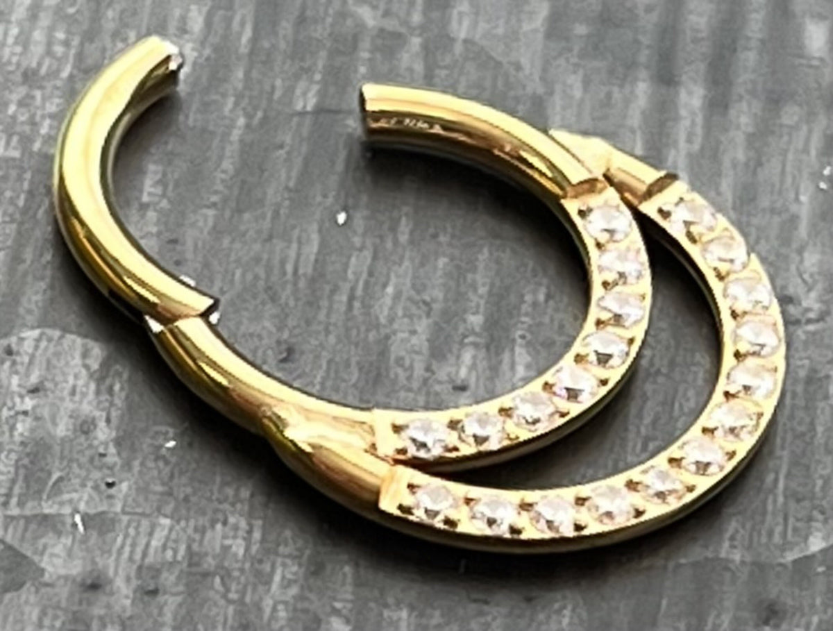 1 Piece Beautiful Implant Grade Titanium Double Lined CZ Gems Segment Septum Ring -Gauge 16g - 6mm, 8mm or 10mm, Silver & Gold Available!