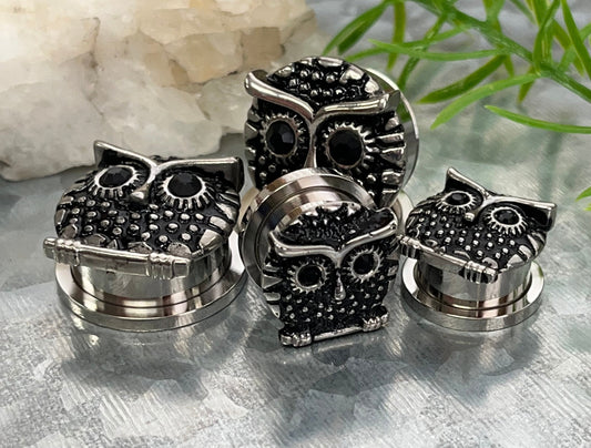 PAIR of Unique Owl with Black Gem Eyes Steel Screw Fit Tunnels/Plugs - Gauges 9/16 (14mm) thru 13/16" (20mm) available!