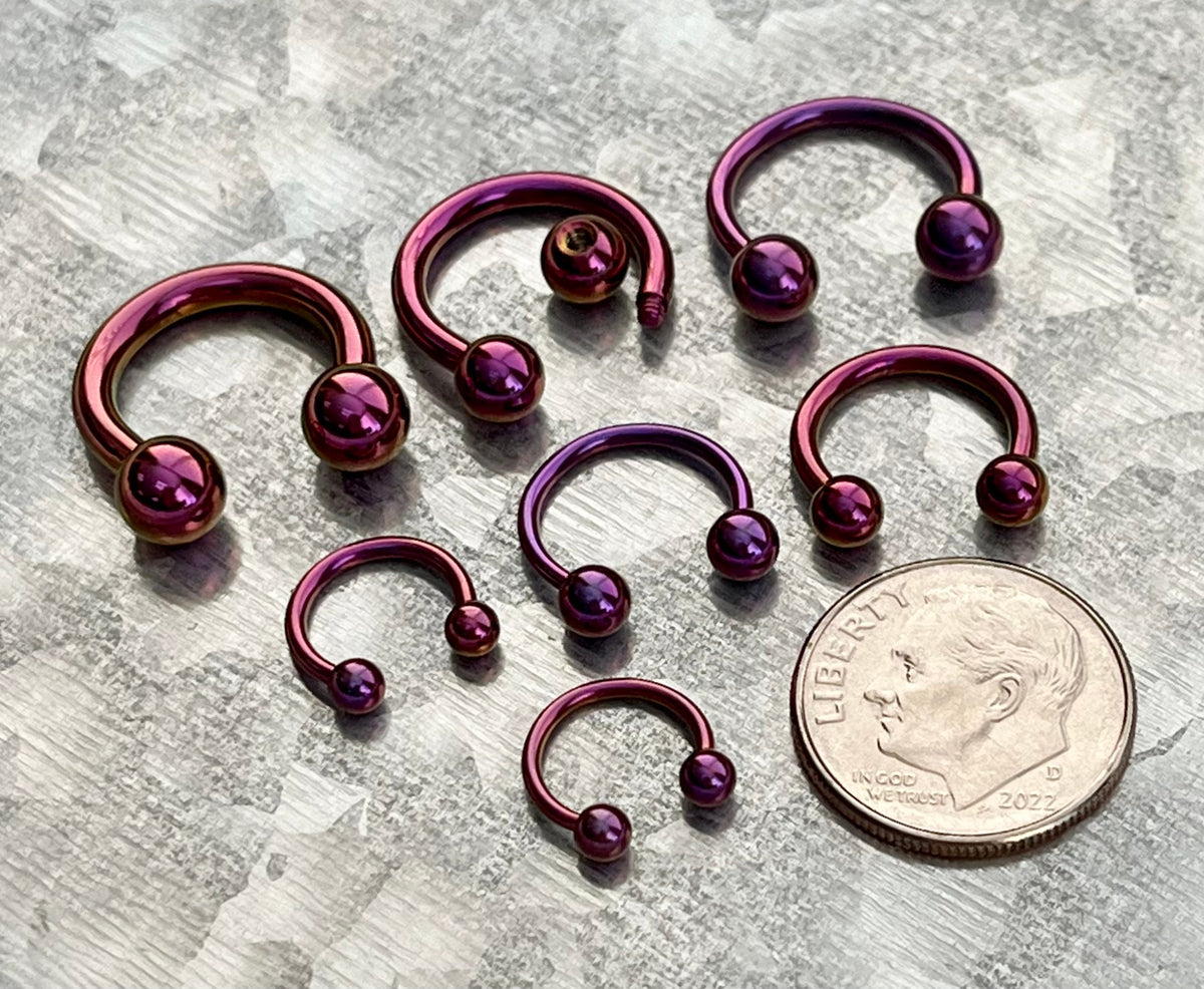 1 Piece Brilliant Purple Titanium Anodized Circular Barbell Horseshoe Ring - 18g thru 12g with Assorted Internal Diameter and Ball Size!!