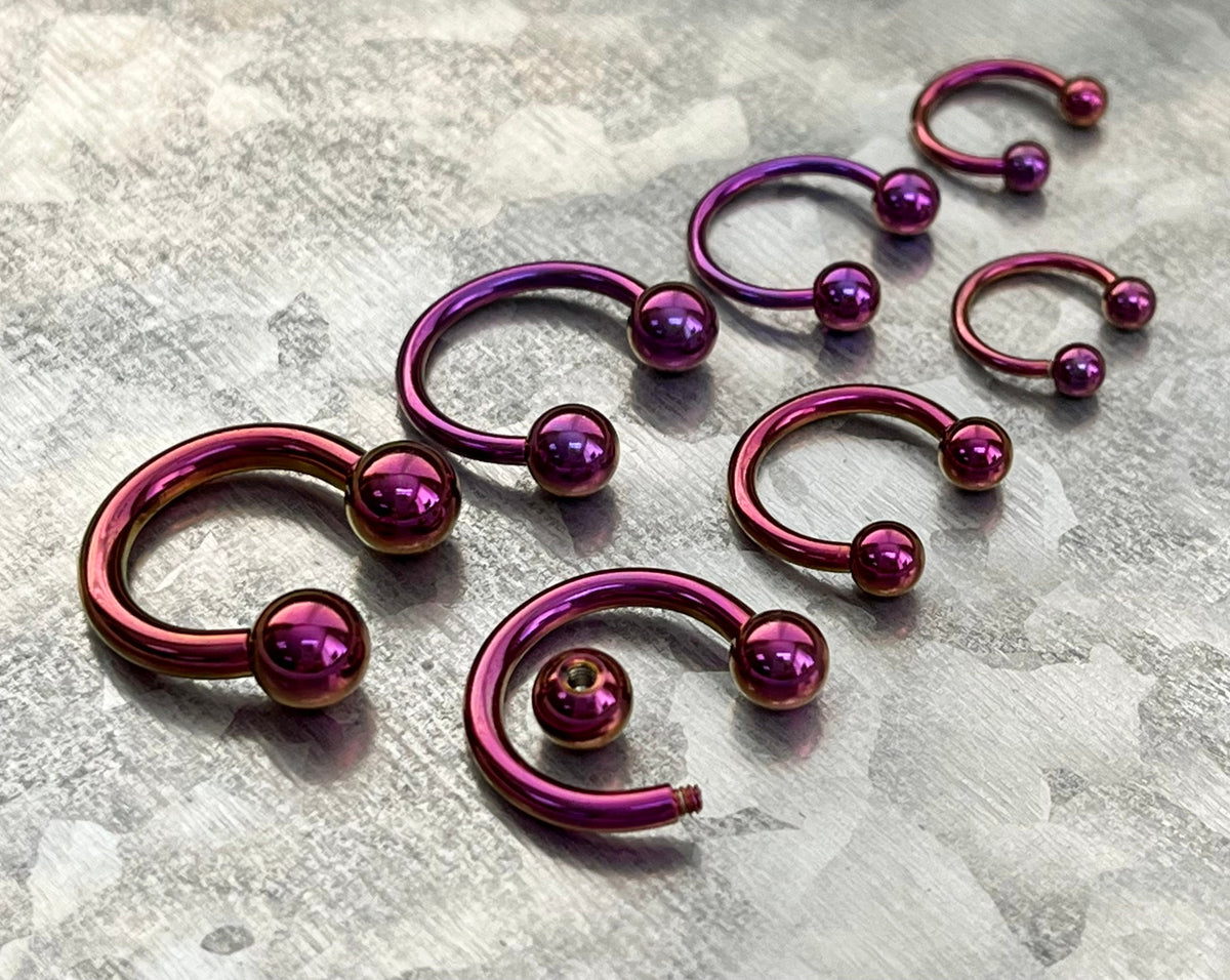 1 Piece Brilliant Purple Titanium Anodized Circular Barbell Horseshoe Ring - 18g thru 12g with Assorted Internal Diameter and Ball Size!!