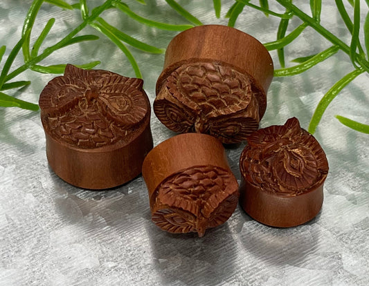 PAIR of Unique Carved Owl in Red Saba Wood Saddle Plug/Tunnels - Gauges 11/16" (18mm), 7/8" (22mm) or 15/16" (24mm) Available!