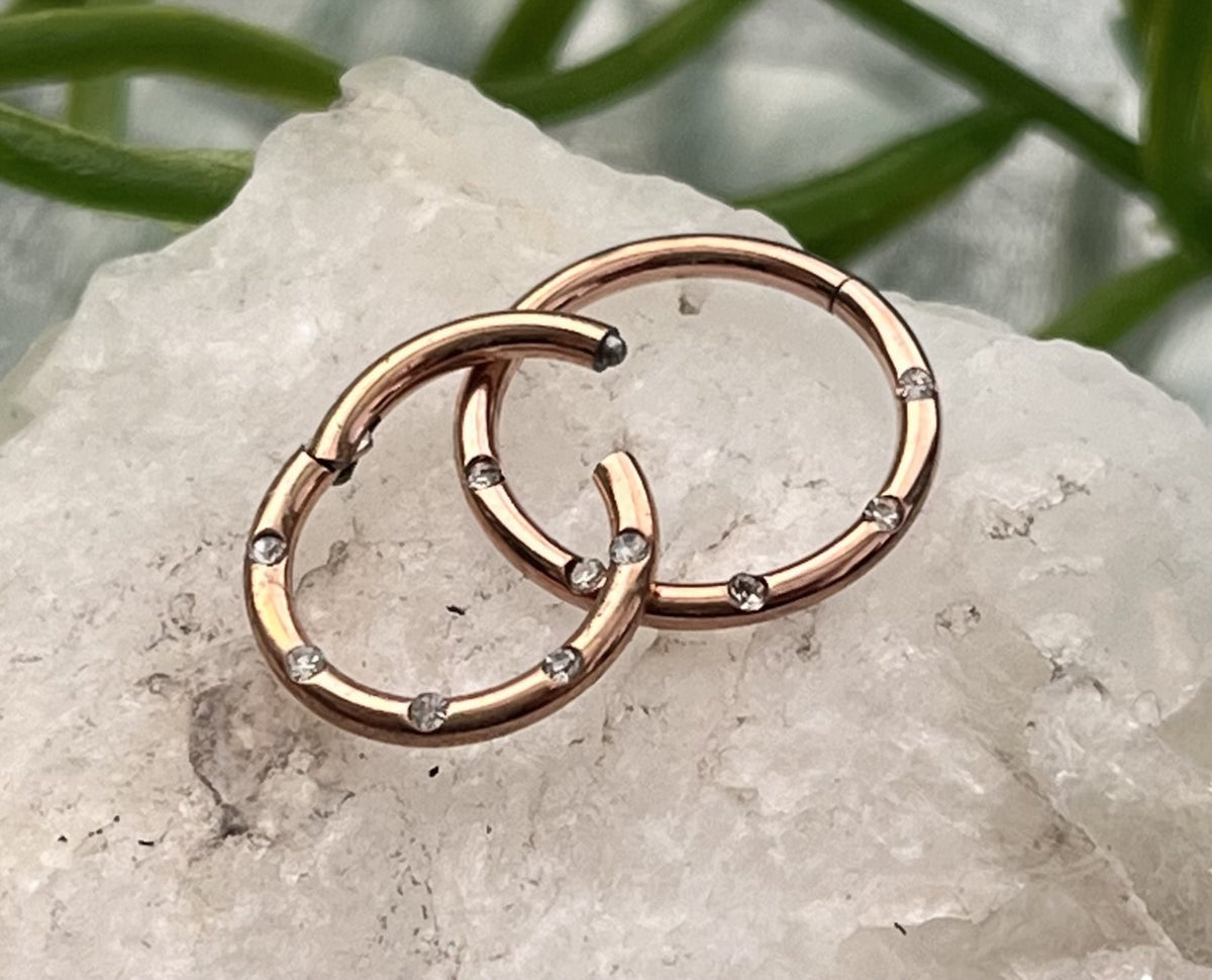 1 Piece Beautiful Five Flush Gems Hinged Segment Septum Ring - 16g - 10mm & 8mm - Black, Gold, Rainbow, Rose Gold or Silver Available!
