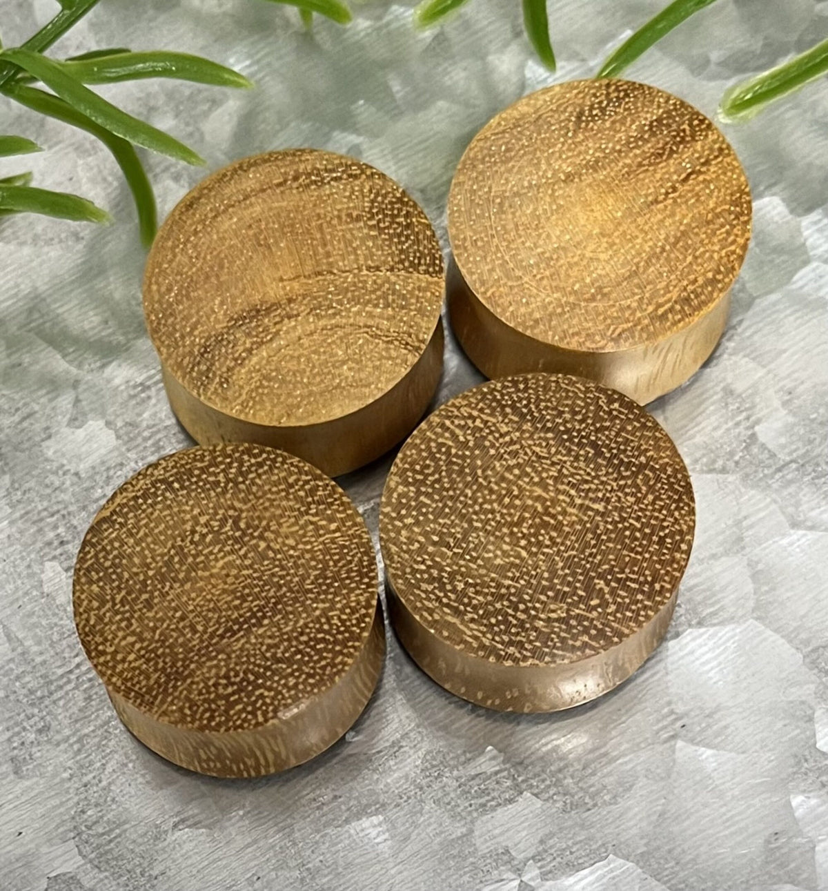 PAIR of Stunning Organic Golden Jackfruit Wood Plugs - Gauges 8g (3.2mm) thru 15/16" (24mm) Available!