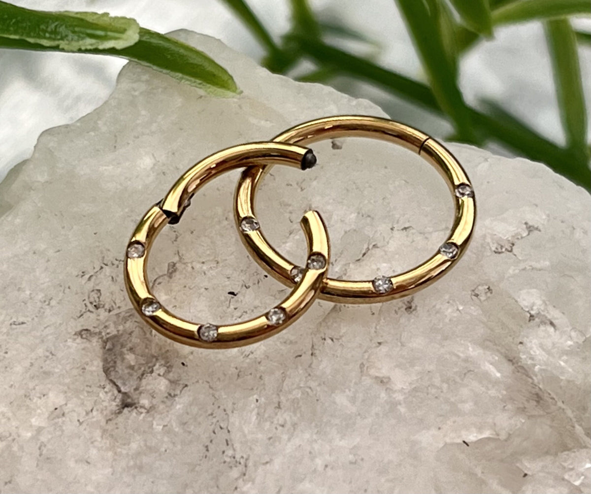 1 Piece Beautiful Five Flush Gems Hinged Segment Septum Ring - 16g - 10mm & 8mm - Black, Gold, Rainbow, Rose Gold or Silver Available!