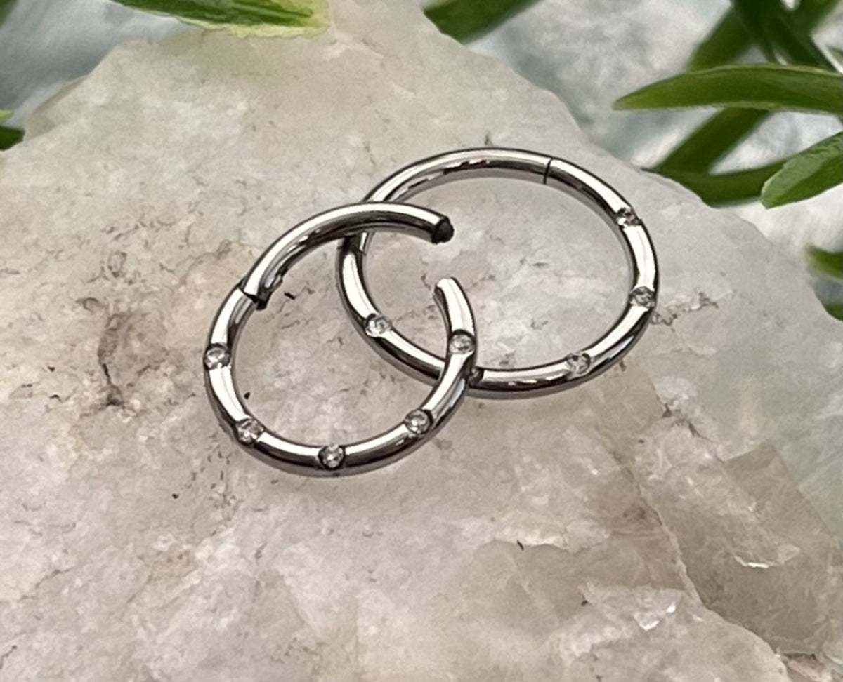 1 Piece Beautiful Five Flush Gems Hinged Segment Septum Ring - 16g - 10mm & 8mm - Black, Gold, Rainbow, Rose Gold or Silver Available!