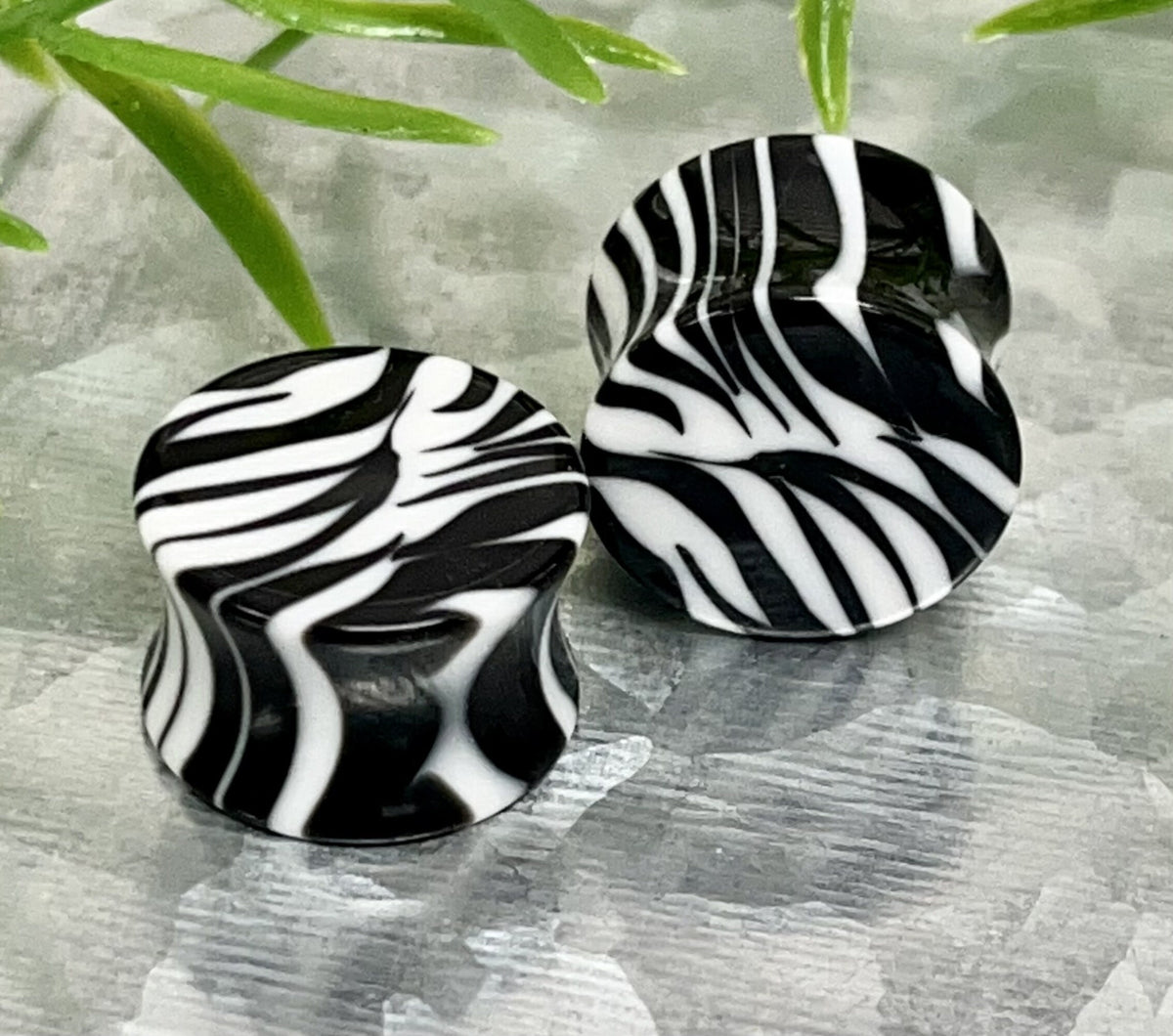 PAIR of Unique Zebra / White Tiger Acrylic Saddle Plugs Saddle Plugs - Gauges 8g (3.2mm) thru 9/16" (16mm) available!