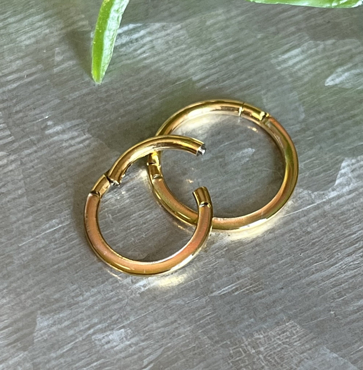 1pc of Stunning Photochromatic Titanium Hinged Sepetum Segment Ring - 16g - 8mm or 10mm Internal Diameter!