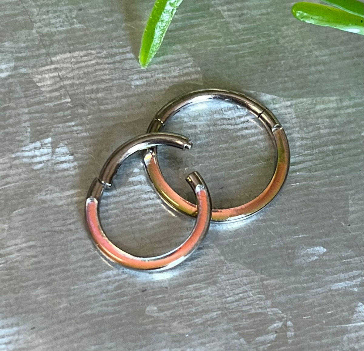 1pc of Stunning Photochromatic Titanium Hinged Sepetum Segment Ring - 16g - 8mm or 10mm Internal Diameter!